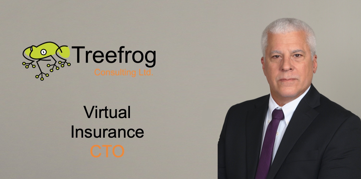 Virtual Insurance CTO